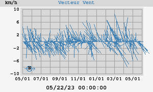 Wind Vector